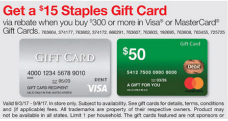 Visa® $300 Gift Card