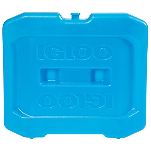 Igloo Small Reusable Ice Pack For 0.98 From Amazon